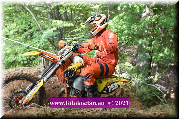 Náhled obrázku: 2021-2096-Radec-.JPG