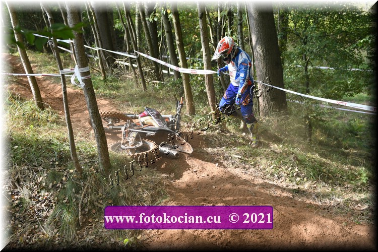 Náhled obrázku: 2021-2099-Radec-.JPG