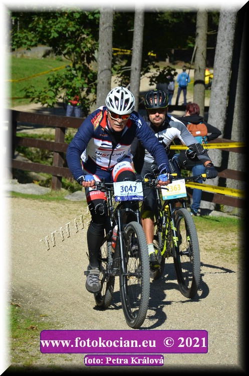 Náhled obrázku: 2021-10567-CTAuthor-3047,2363.JPG