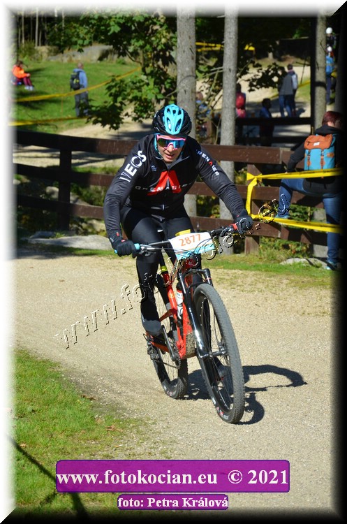 Náhled obrázku: 2021-10682-CTAuthor-2877.JPG