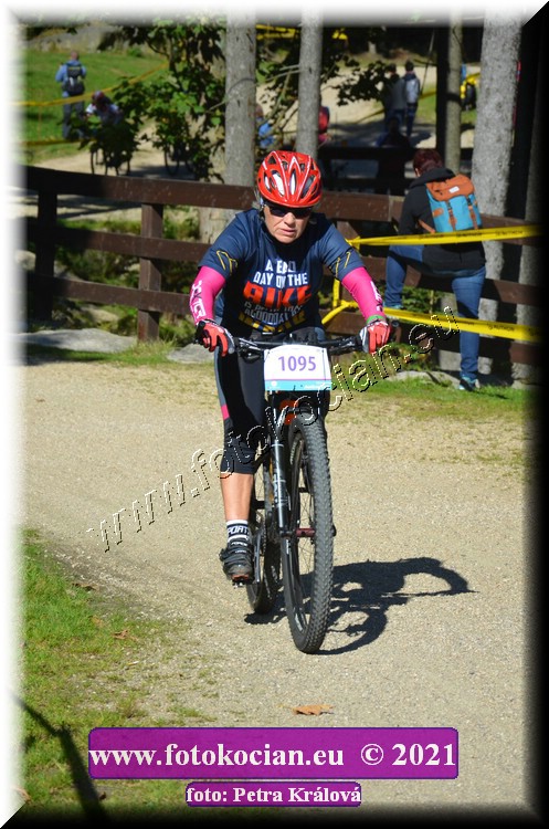 Náhled obrázku: 2021-10709-CTAuthor-1095.JPG