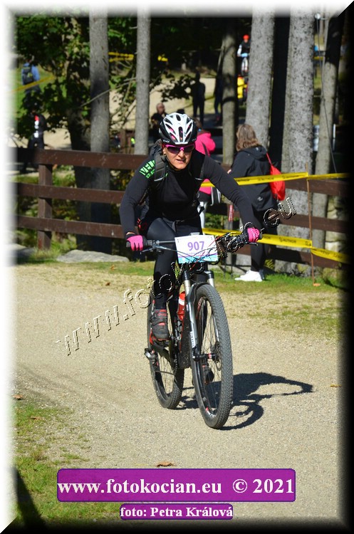 Náhled obrázku: 2021-10889-CTAuthor-907.JPG