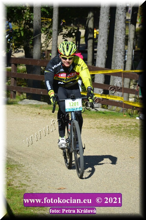 Náhled obrázku: 2021-10899-CTAuthor-1201.JPG