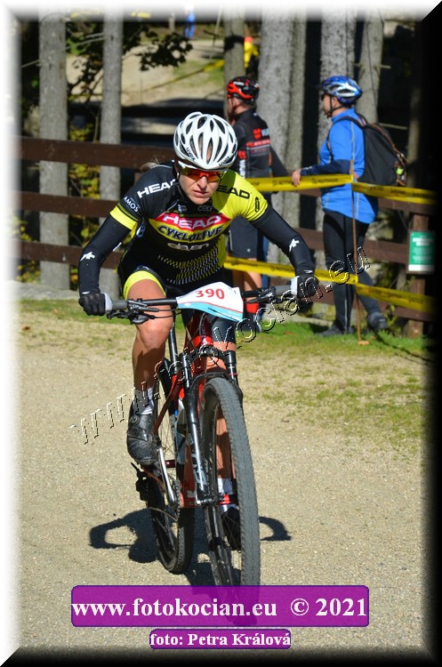 Náhled obrázku: 2021-9158-CTAuthor-390.JPG