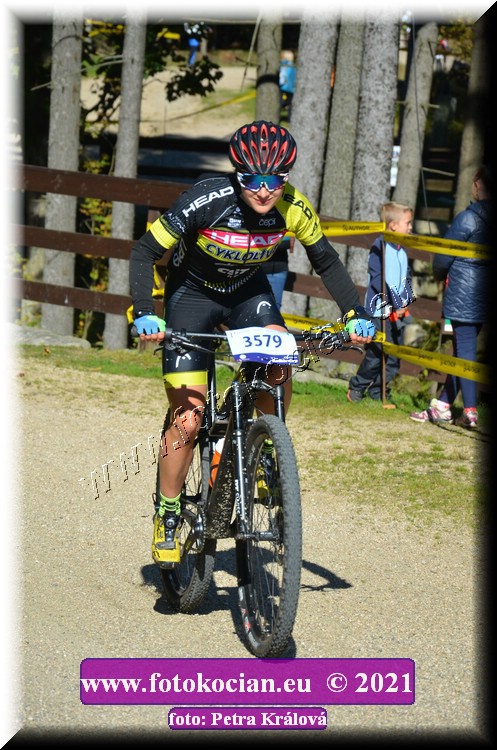 Náhled obrázku: 2021-9208-CTAuthor-3579.JPG