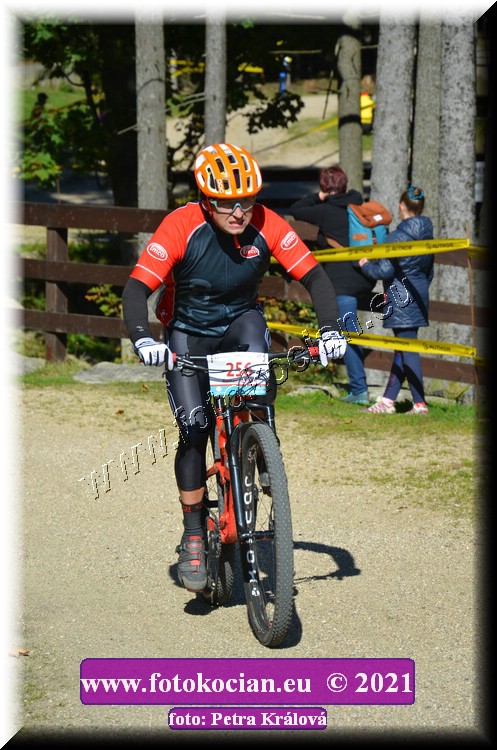 Náhled obrázku: 2021-9240-CTAuthor-256.JPG