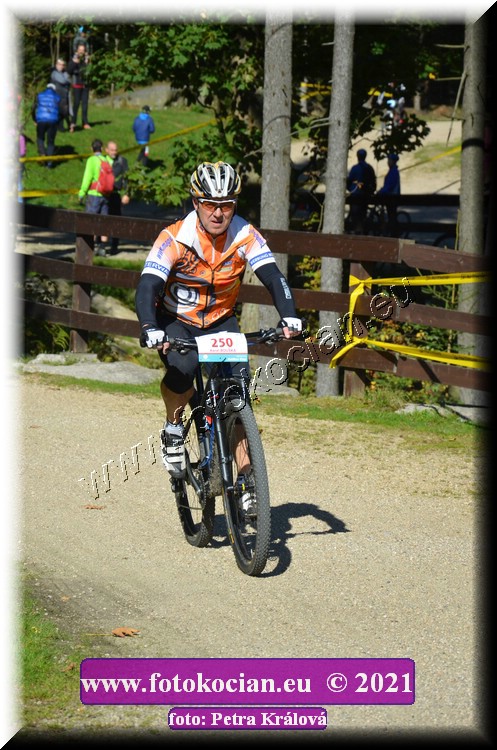 Náhled obrázku: 2021-9431-CTAuthor-250.JPG