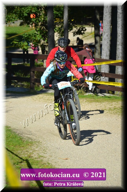 Náhled obrázku: 2021-11131-CTAuthor-2626.JPG