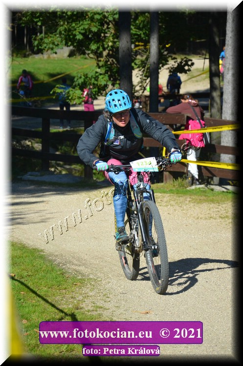 Náhled obrázku: 2021-11159-CTAuthor-1234.JPG