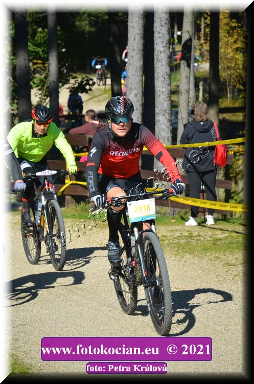 Náhled obrázku: 2021-11167-CTAuthor-2016.JPG