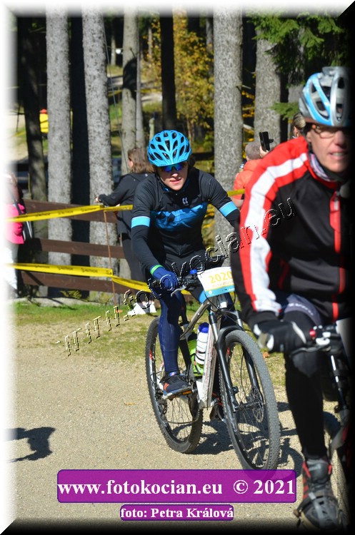 Náhled obrázku: 2021-11176-CTAuthor-2020.JPG