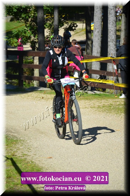 Náhled obrázku: 2021-11183-CTAuthor-968.JPG