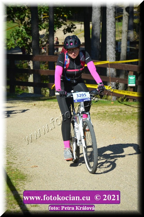 Náhled obrázku: 2021-11378-CTAuthor-3205.JPG