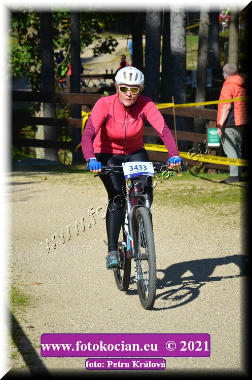 Náhled obrázku: 2021-11472-CTAuthor-3433.JPG