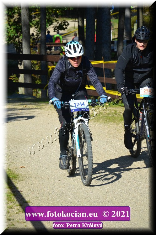 Náhled obrázku: 2021-11590-CTAuthor-3244.JPG