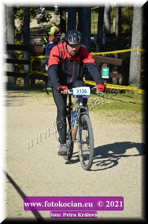 Náhled obrázku: 2021-11636-CTAuthor-3136.JPG