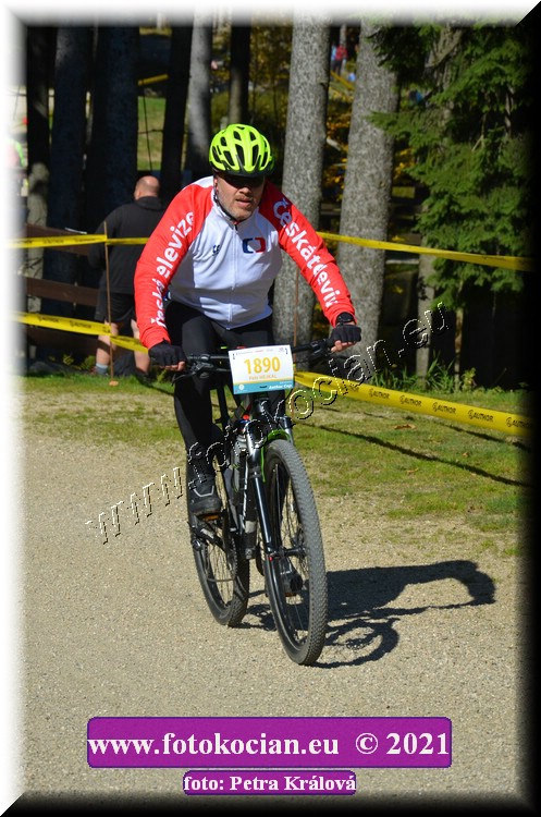 Náhled obrázku: 2021-11646-CTAuthor-1890.JPG