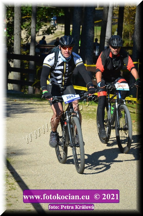 Náhled obrázku: 2021-11762-CTAuthor-3042,2837.JPG