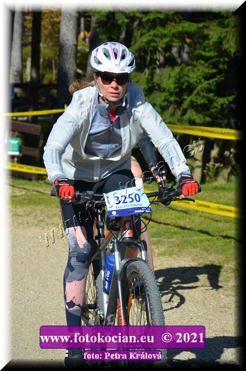 Náhled obrázku: 2021-11778-CTAuthor-3250.JPG