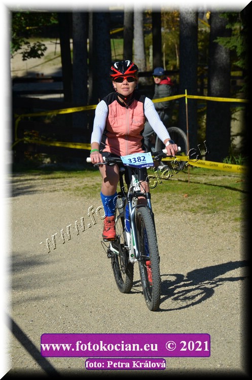 Náhled obrázku: 2021-11841-CTAuthor-3382.JPG