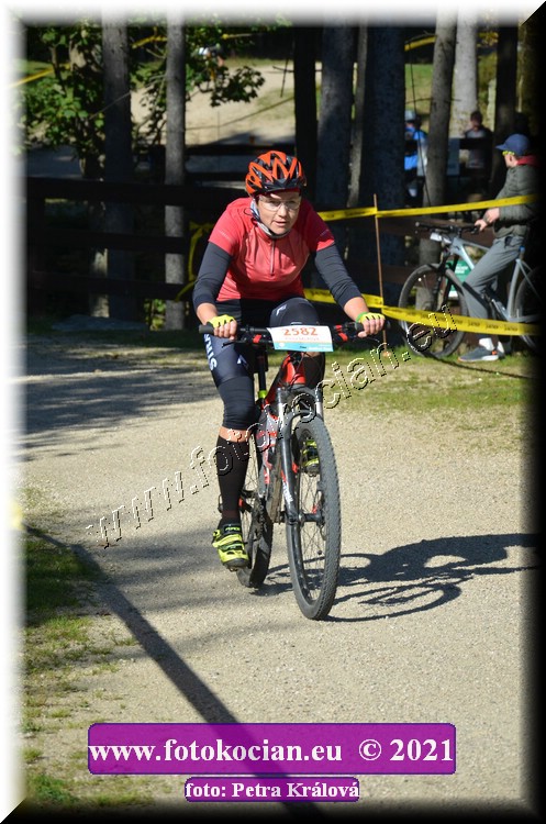 Náhled obrázku: 2021-11871-CTAuthor-2582.JPG