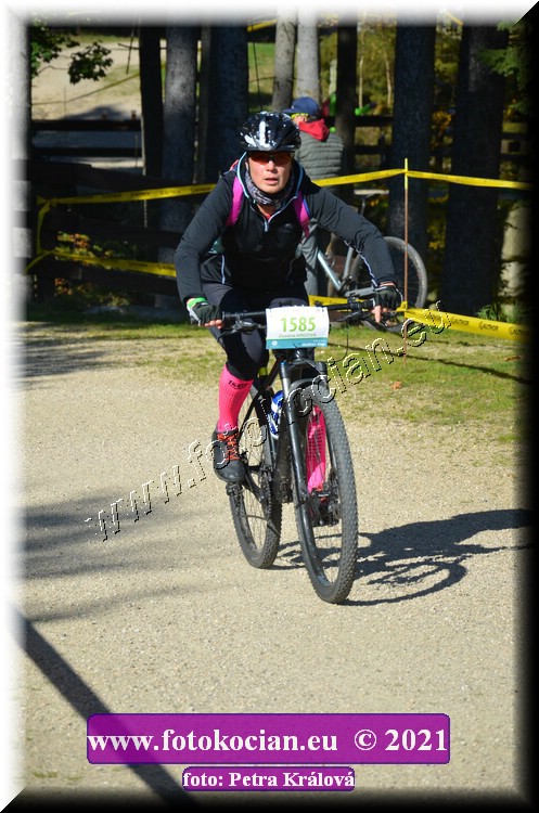 Náhled obrázku: 2021-11901-CTAuthor-1585.JPG