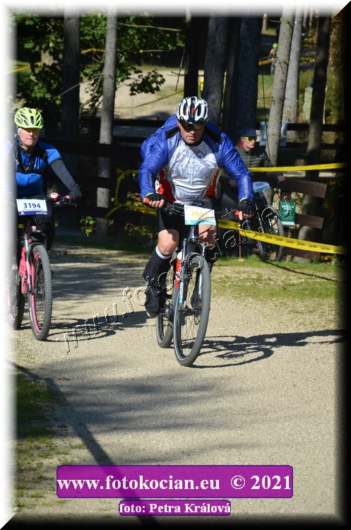 Náhled obrázku: 2021-11917-CTAuthor-2003.JPG