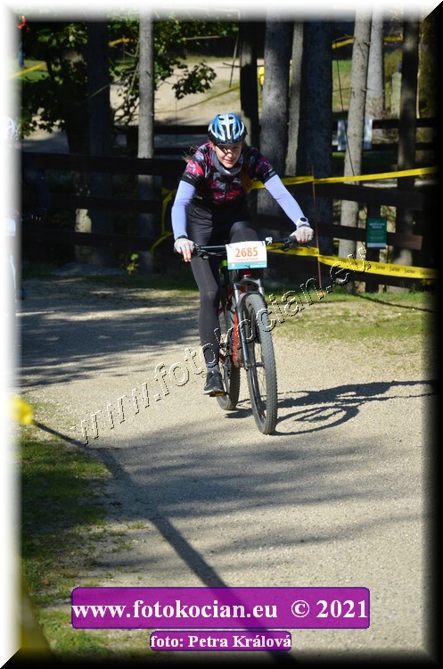 Náhled obrázku: 2021-11973-CTAuthor-2685.JPG