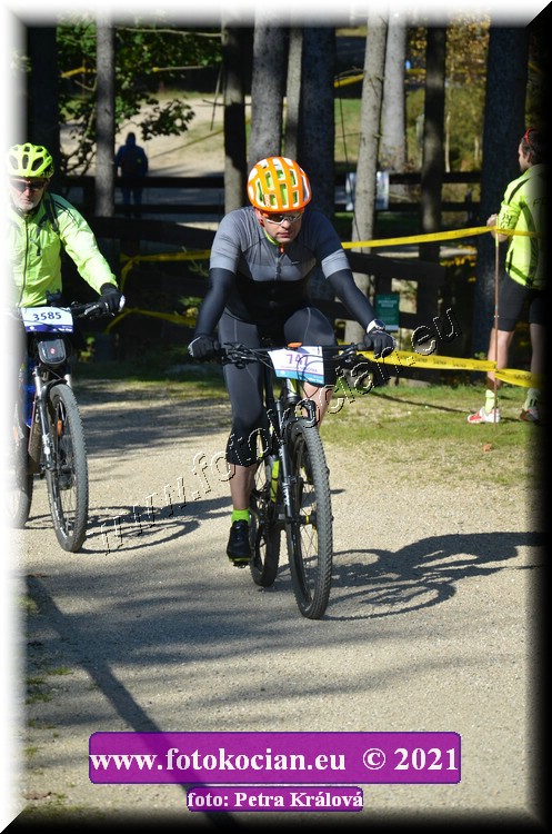 Náhled obrázku: 2021-11991-CTAuthor-747.JPG