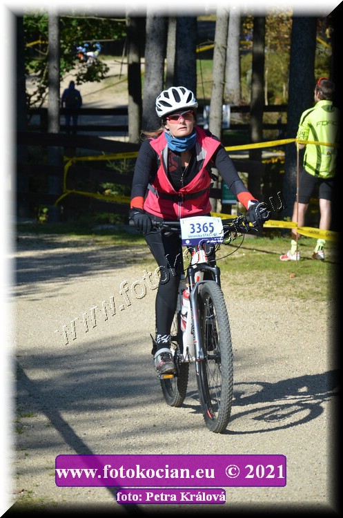 Náhled obrázku: 2021-11993-CTAuthor-3365.JPG