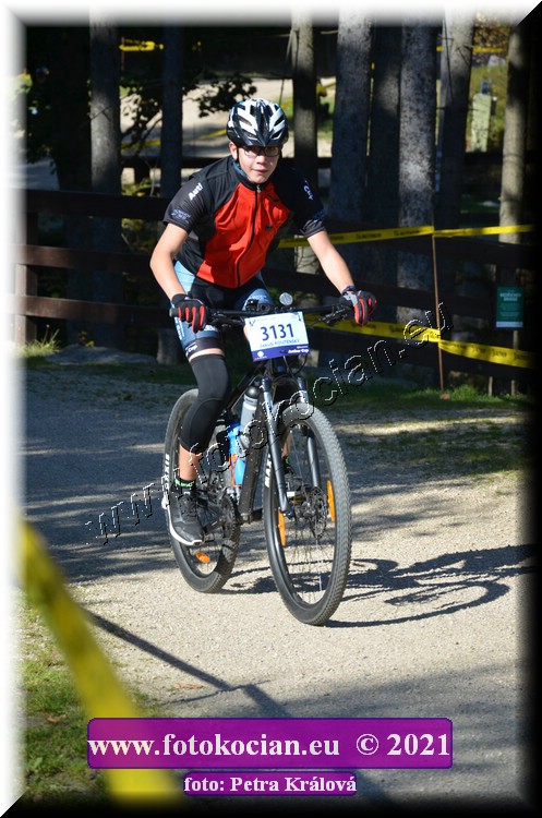 Náhled obrázku: 2021-12190-CTAuthor-3131.JPG