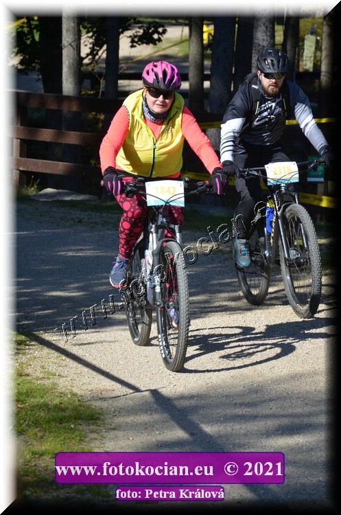 Náhled obrázku: 2021-12238-CTAuthor-1842,2318.JPG