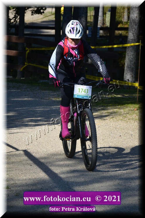 Náhled obrázku: 2021-12269-CTAuthor-1743.JPG