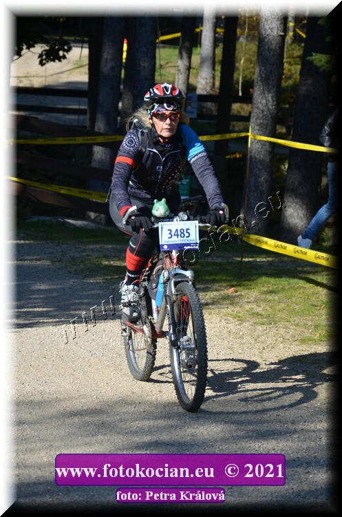 Náhled obrázku: 2021-12295-CTAuthor-3485.JPG