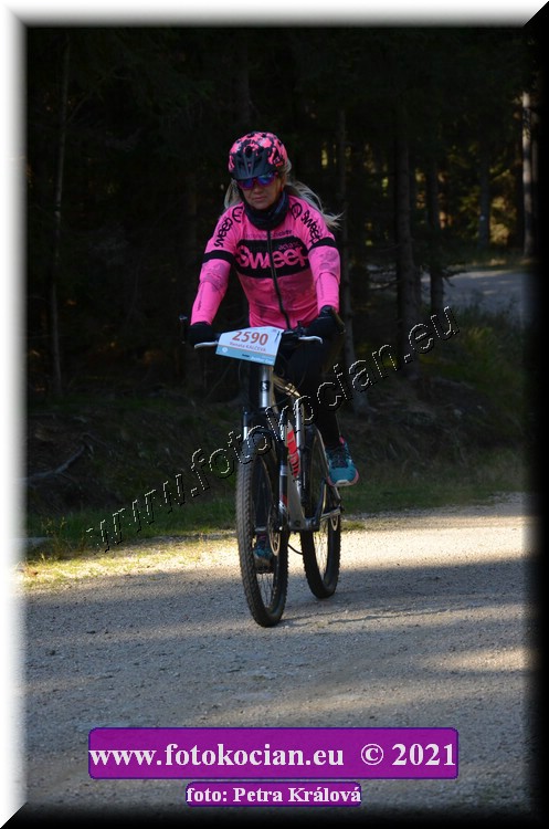 Náhled obrázku: 2021-12343-CTAuthor-2590.JPG