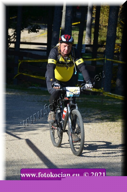 Náhled obrázku: 2021-12361-CTAuthor-2023.JPG