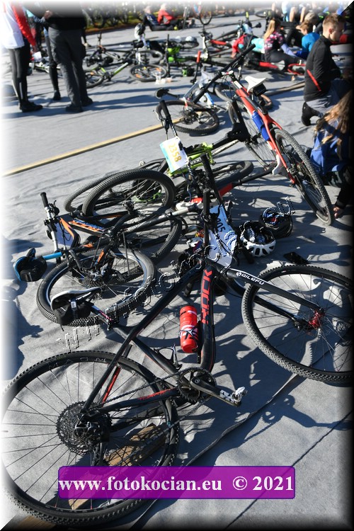 Náhled obrázku: 2021-5218-CTAuthor-.JPG