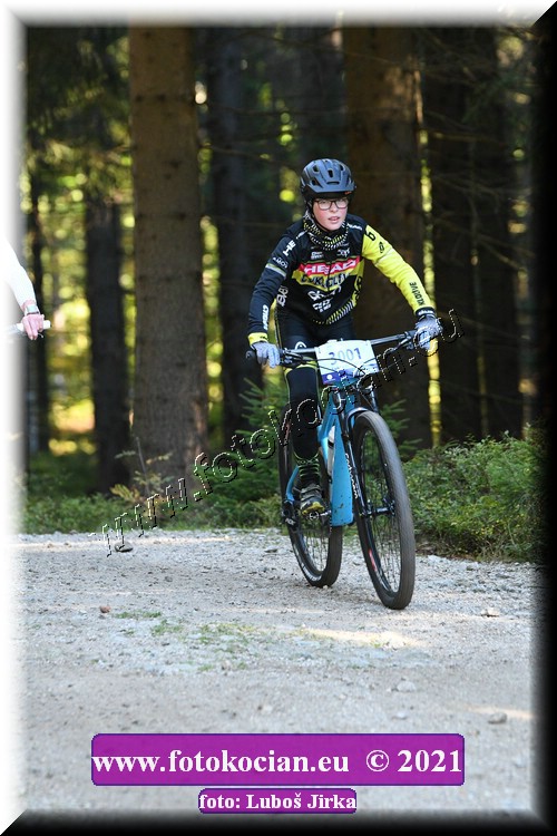 Náhled obrázku: 2021-6060-CTAuthor-3001.JPG