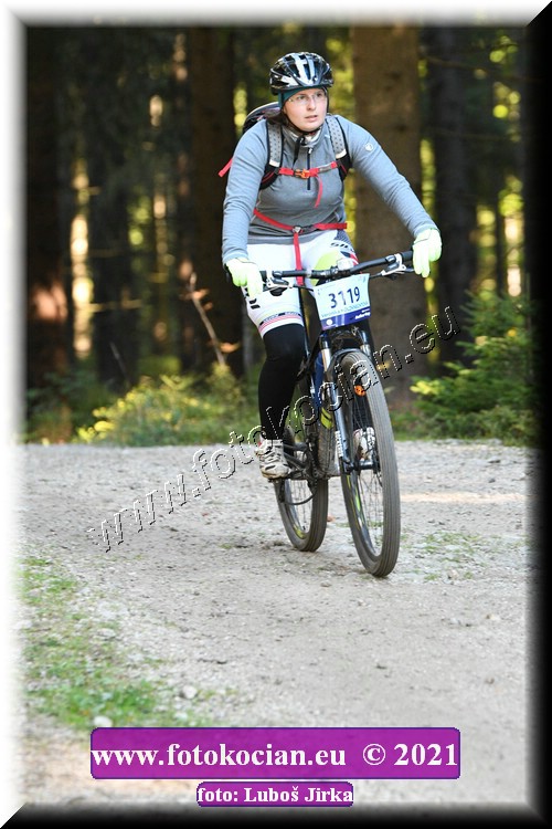 Náhled obrázku: 2021-6101-CTAuthor-3119.JPG