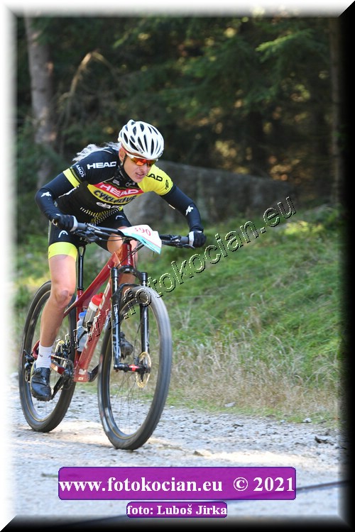 Náhled obrázku: 2021-6230-CTAuthor-390.JPG