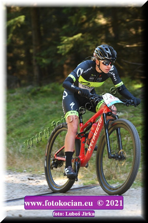 Náhled obrázku: 2021-6282-CTAuthor-0.JPG