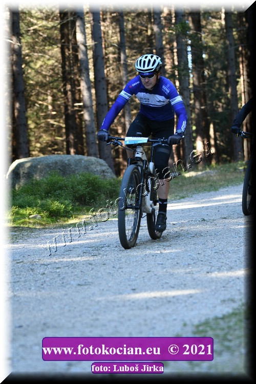 Náhled obrázku: 2021-6877-CTAuthor-0.JPG