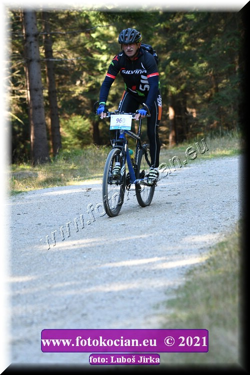 Náhled obrázku: 2021-7115-CTAuthor-960.JPG