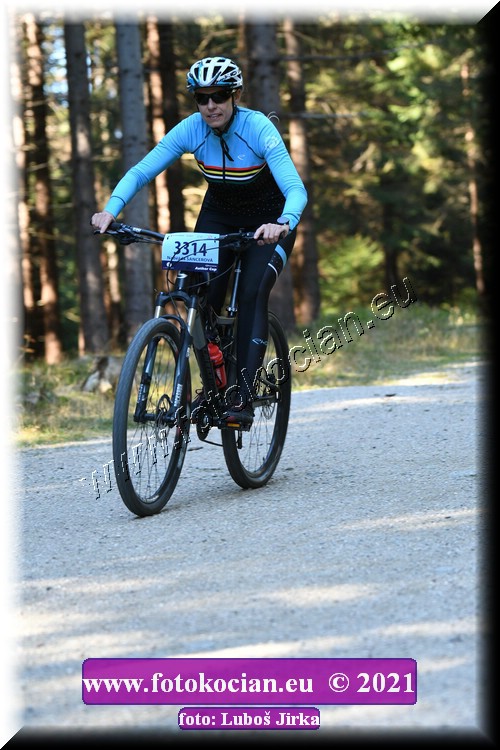 Náhled obrázku: 2021-7213-CTAuthor-3314.JPG