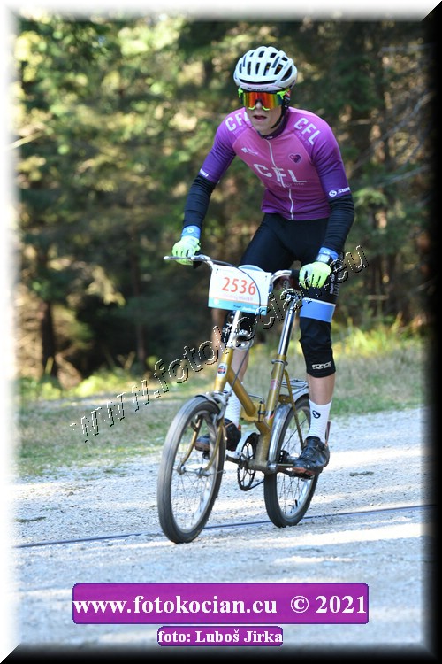 Náhled obrázku: 2021-7747-CTAuthor-2536.JPG