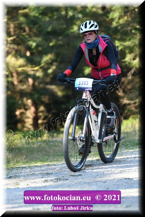 Náhled obrázku: 2021-8024-CTAuthor-3365.JPG