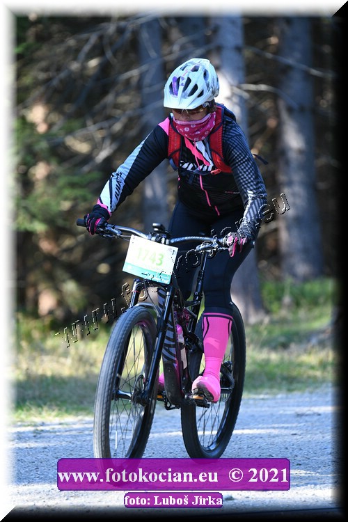 Náhled obrázku: 2021-8319-CTAuthor-1743.JPG