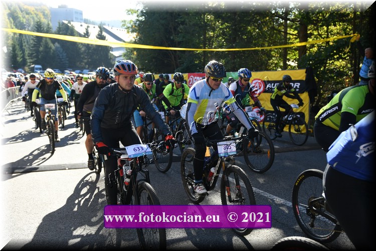 Náhled obrázku: 2021-1162-CTAuthor-805,633.JPG