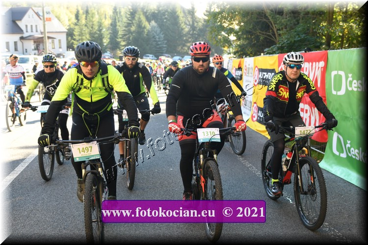 Náhled obrázku: 2021-1196-CTAuthor-1310,1472,1497.JPG