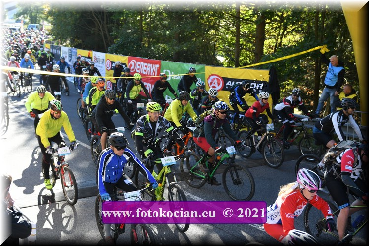 Náhled obrázku: 2021-1238-CTAuthor-1406,1399,1297.JPG